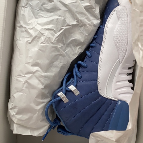 Jordan 12's Indigo